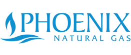 phoenix logo